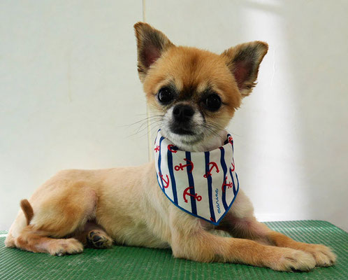 川原山アンクちゃん