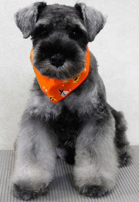 古閑ランちゃん