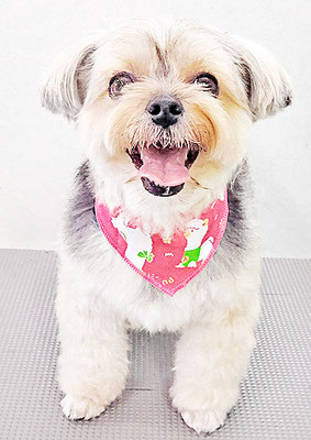 有馬まりんちゃん