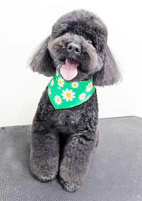 本坊ダノちゃん