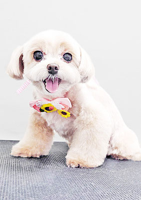 永濱サラちゃん