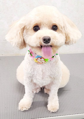 岩元チルちゃん