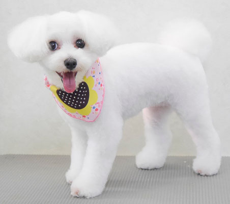 中島フワリちゃん