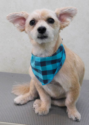 上山英斗ちゃん