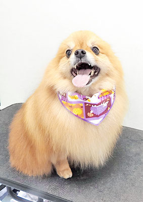 大井ポンタちゃん