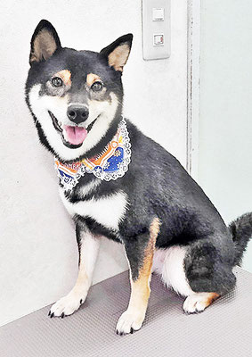 西元風子ちゃん