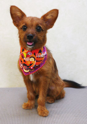 助村るうちゃん