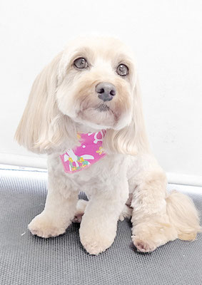 谷山ナナちゃん