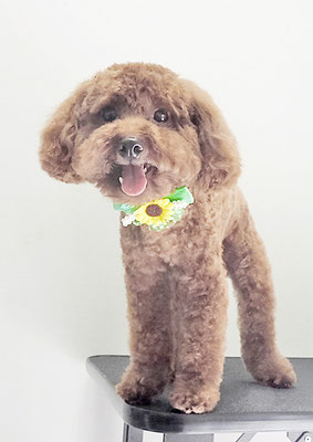 青山弦之介ちゃん