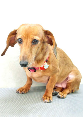 別府モモちゃん