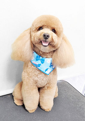 佐多ぶいちゃん