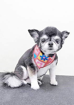 八木クロちゃん