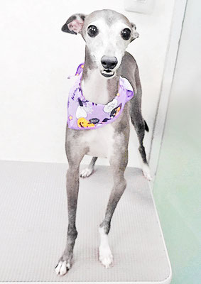 前田エレナちゃん