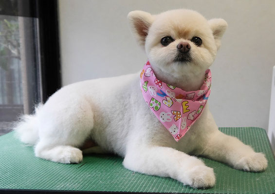 千葉チビちゃん