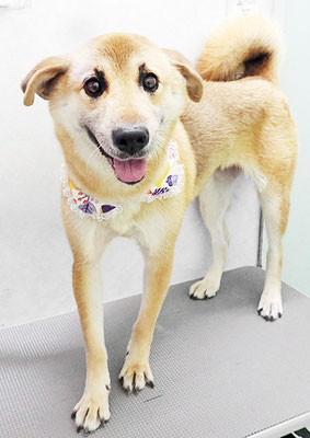 水口ラッキーちゃん