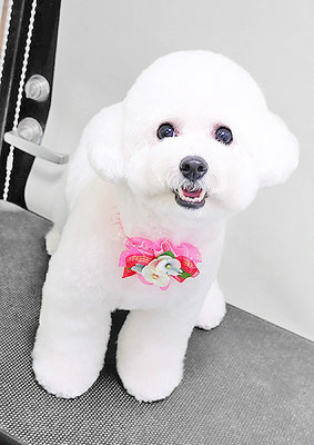 吉永ふわりちゃん