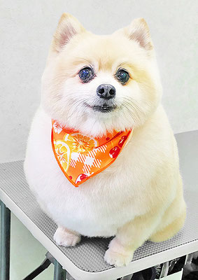 橋レオちゃん