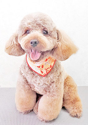 榎元チョコちゃん