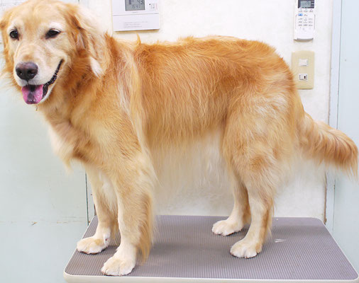 菊川チェリーちゃん