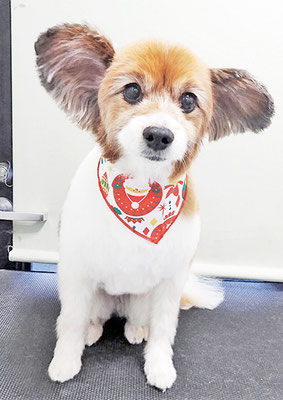 玉利ゆずちゃん