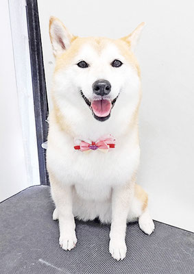 小村ゆずちゃん