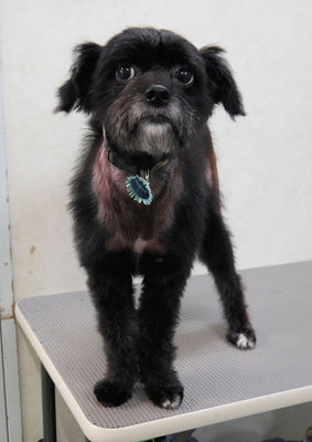 濱田リヨンちゃん