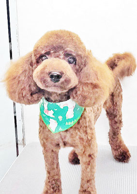 門之園るるちゃん