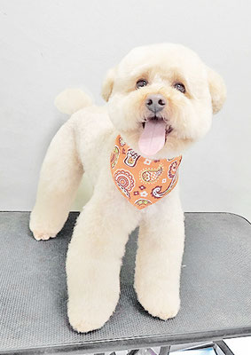 藤久保くうたちゃん