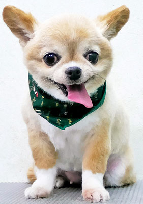 川田オカンちゃん