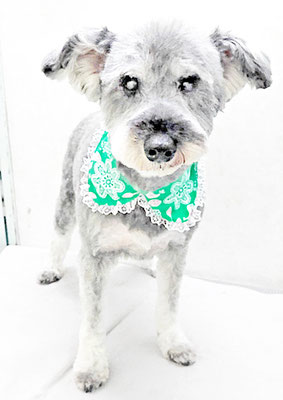 西野来斗ちゃん