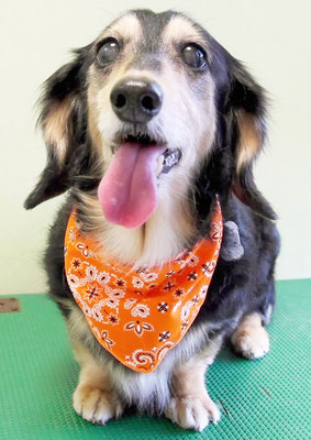 湯田モモちゃん