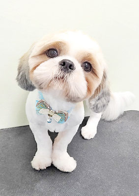 榊原もちちゃん