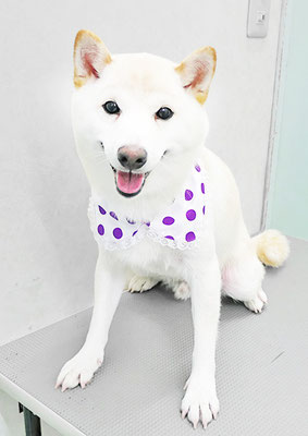 熊谷ソルちゃん