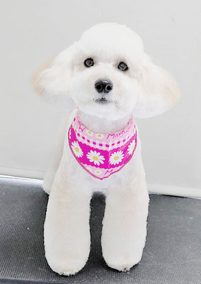 長谷ラナちゃん