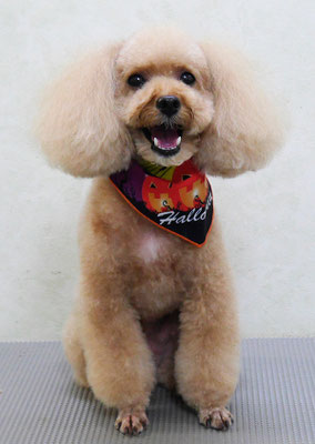 肥田クウちゃん