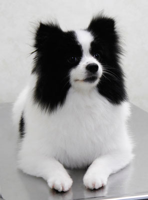 森崎マリアンちゃん