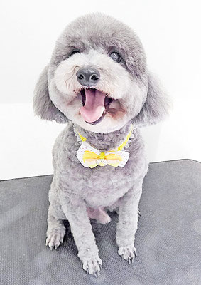 橋口最中ちゃん