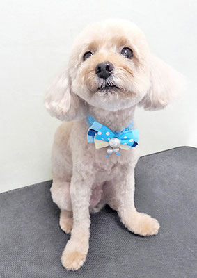 鎌田ミントちゃん