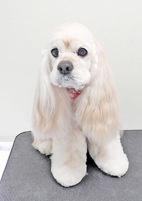 福富ベリーちゃん