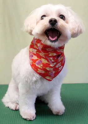 濱島クレアちゃん