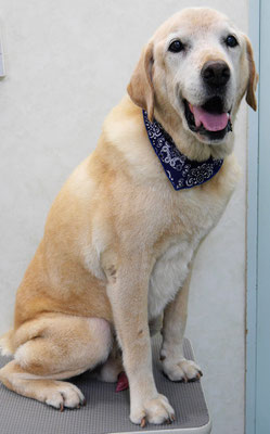 平松マックスちゃん