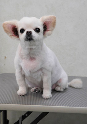 森崎ヒメちゃん