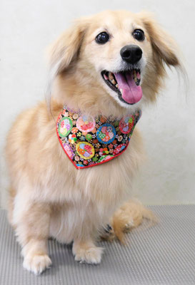 江口エルちゃん