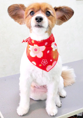 玉利ゆずちゃん