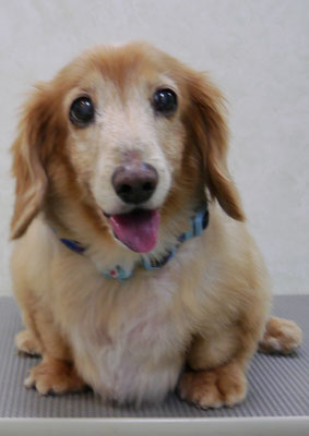 別府リンちゃん