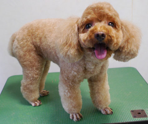 松木田モモちゃん