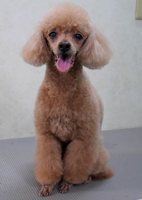 平松クーちゃん