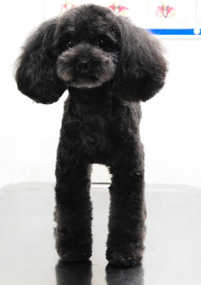 森崎ラブちゃん