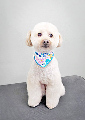 藤久保くうたちゃん