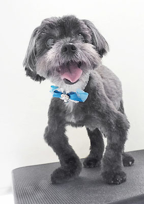 八郷ベンちゃん